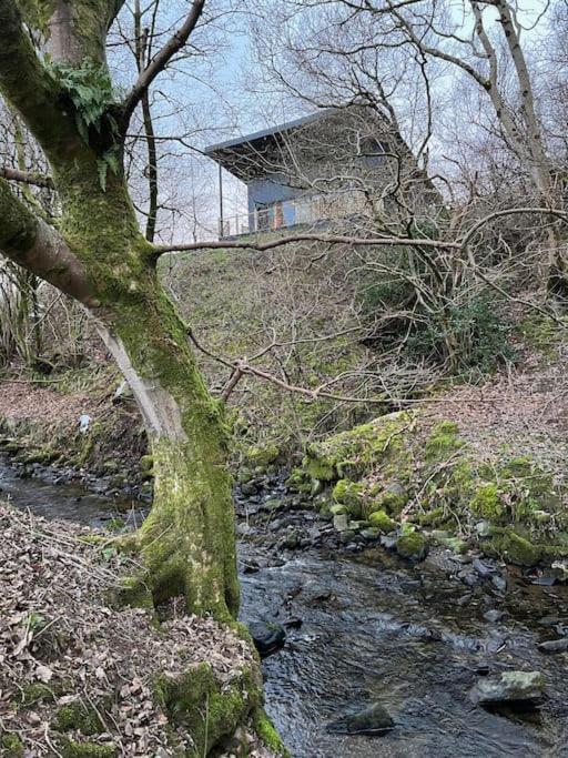 Luxury Lodge In The Treetops Llanbrynmair Exterior foto