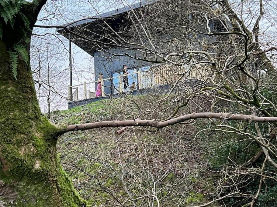 Luxury Lodge In The Treetops Llanbrynmair Exterior foto