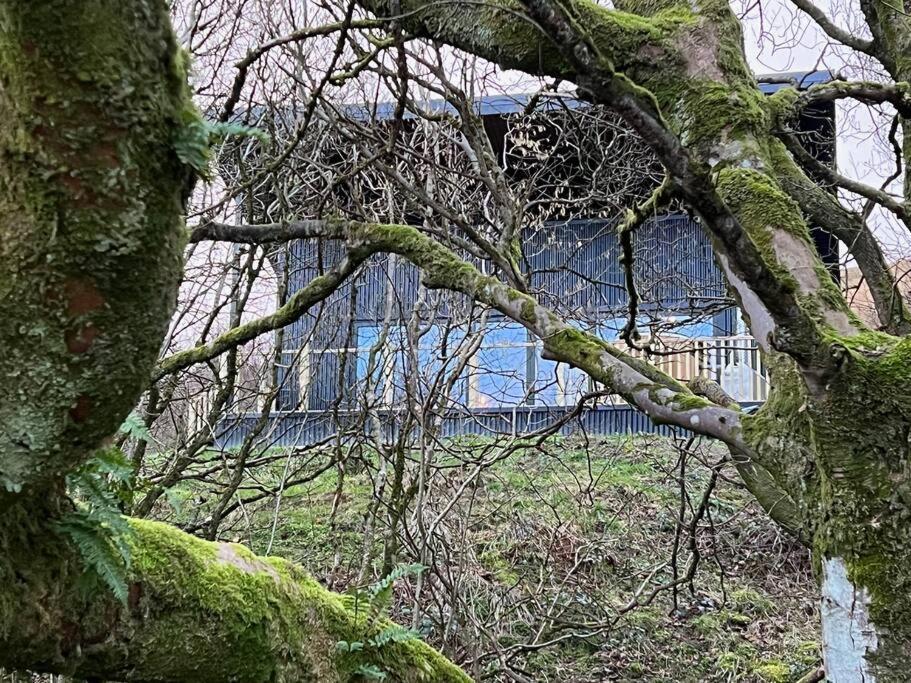 Luxury Lodge In The Treetops Llanbrynmair Exterior foto