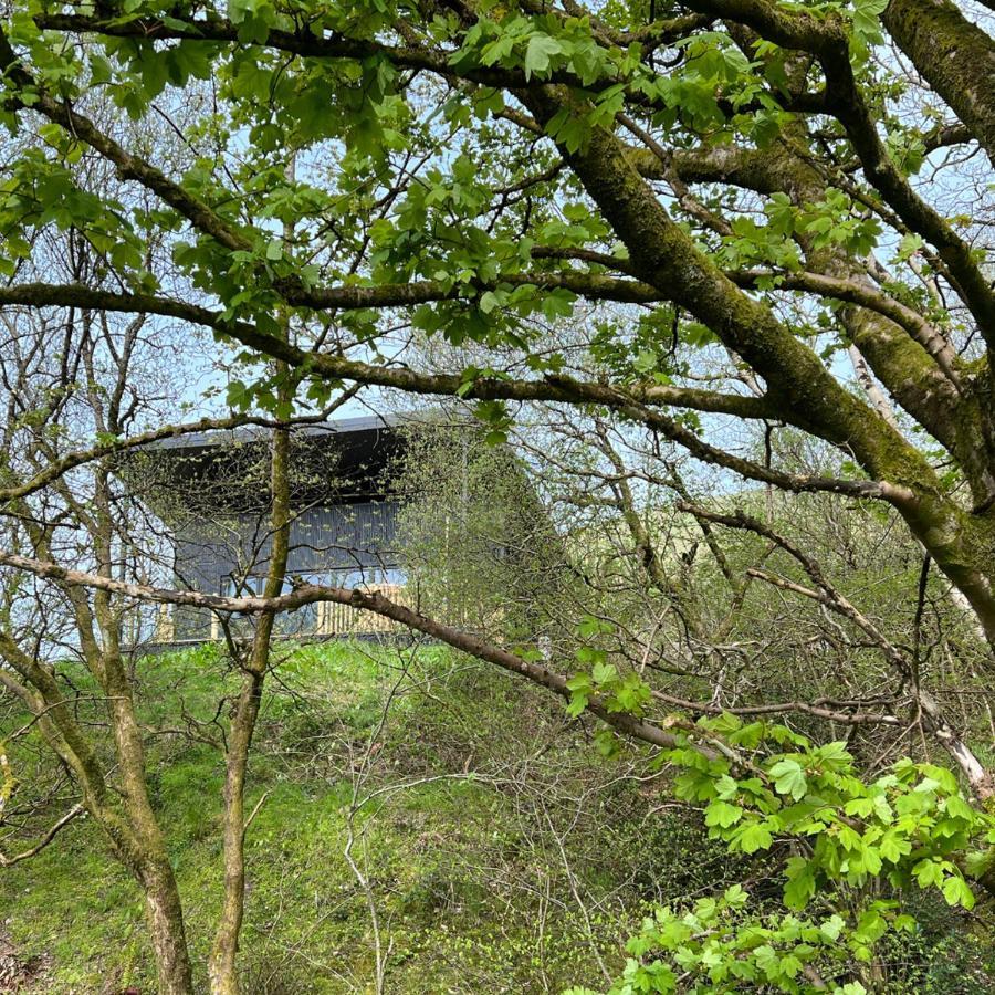 Luxury Lodge In The Treetops Llanbrynmair Exterior foto